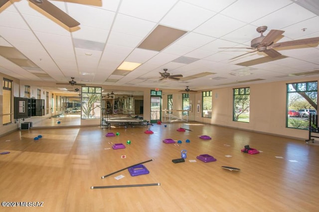 workout area with a drop ceiling and hardwood / wood-style flooring