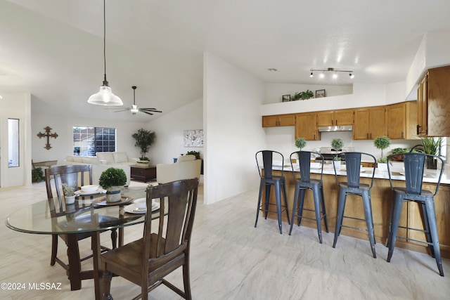 dining area featuring ceiling fan, track lighting, and lofted ceiling