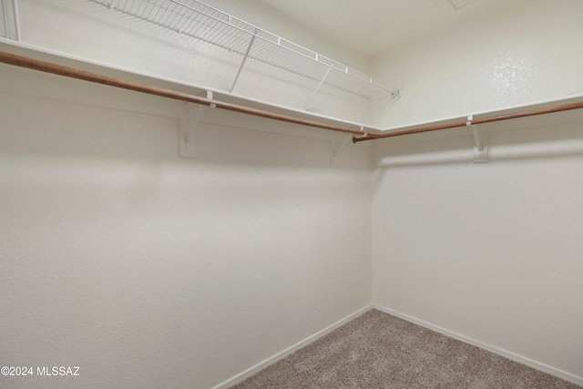 walk in closet featuring carpet floors