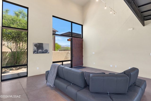 living room featuring a towering ceiling