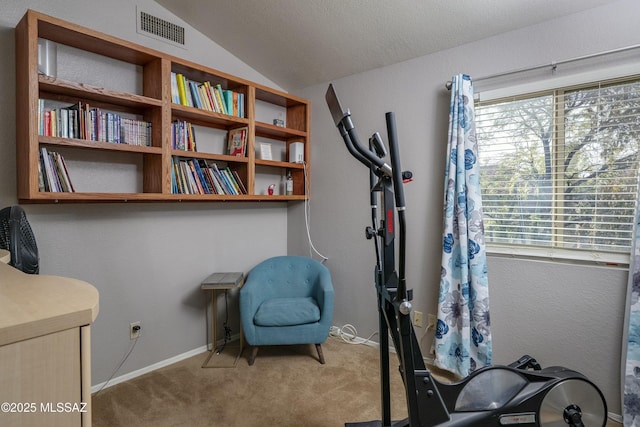 interior space featuring light carpet and vaulted ceiling