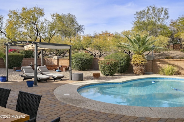 view of pool with a patio