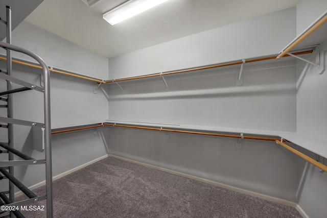 walk in closet featuring carpet