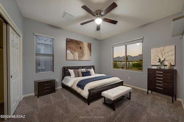 bedroom featuring ceiling fan, a closet, and carpet