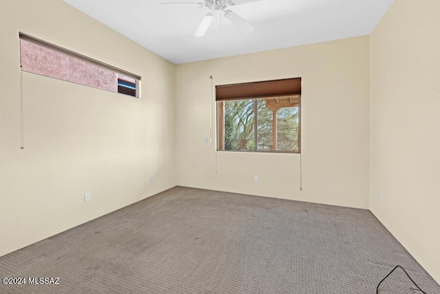 spare room with ceiling fan and carpet floors