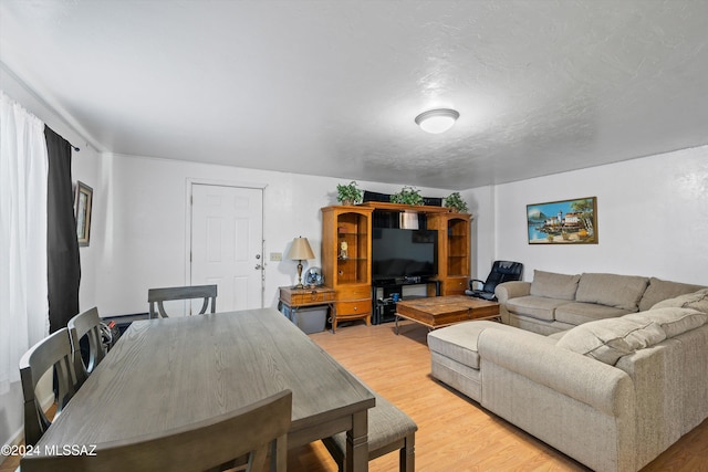 living room with a textured ceiling and light wood-type flooring