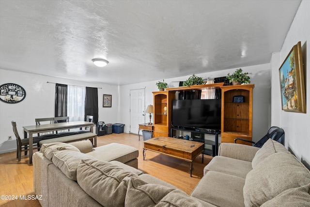 living room featuring light wood-type flooring