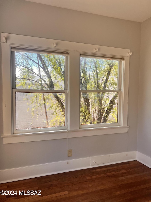 interior details with baseboards and wood finished floors