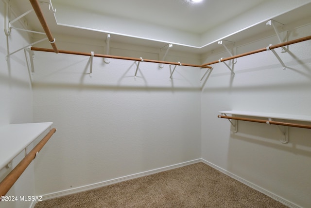 spacious closet with carpet