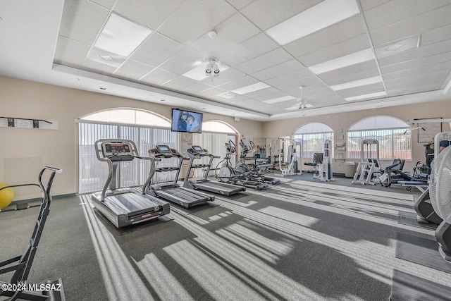 gym with a paneled ceiling, ceiling fan, and carpet flooring