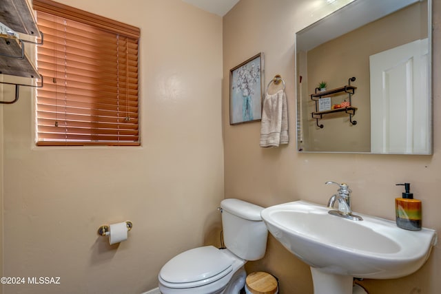 bathroom with toilet and a sink