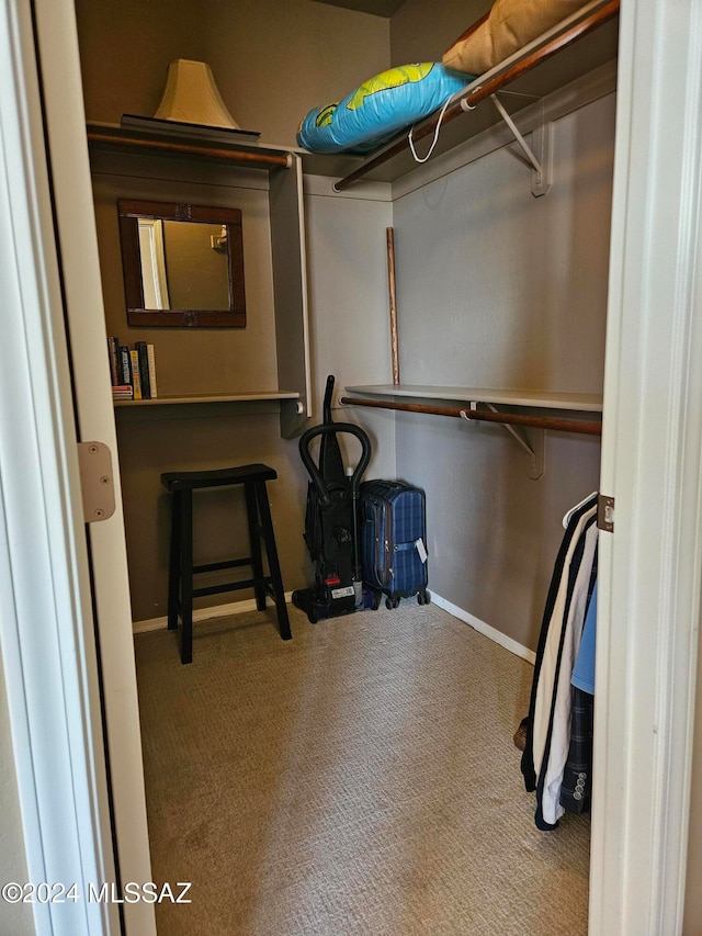 walk in closet featuring carpet floors