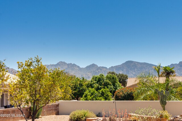 mountain view