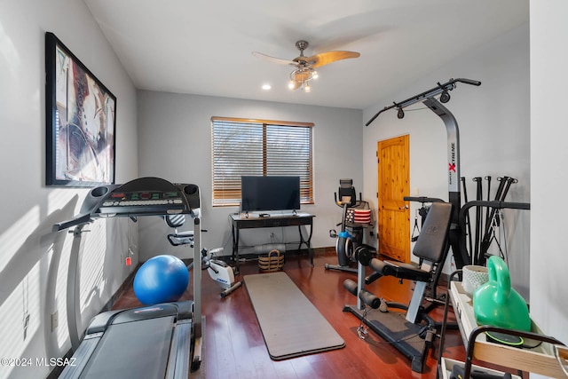 exercise area featuring ceiling fan and wood-type flooring