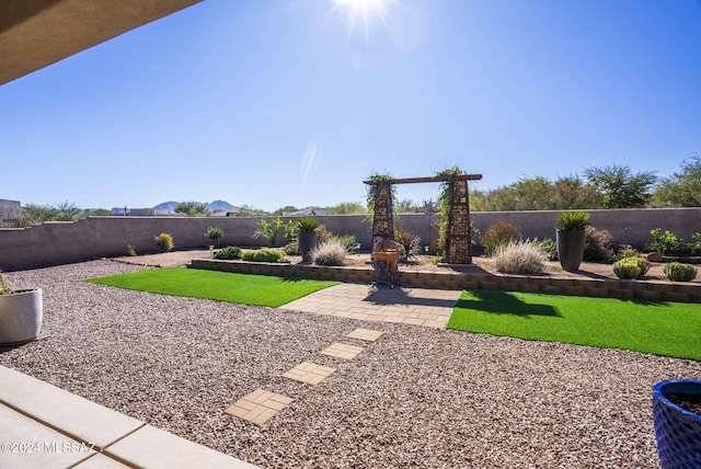 view of yard featuring a patio area