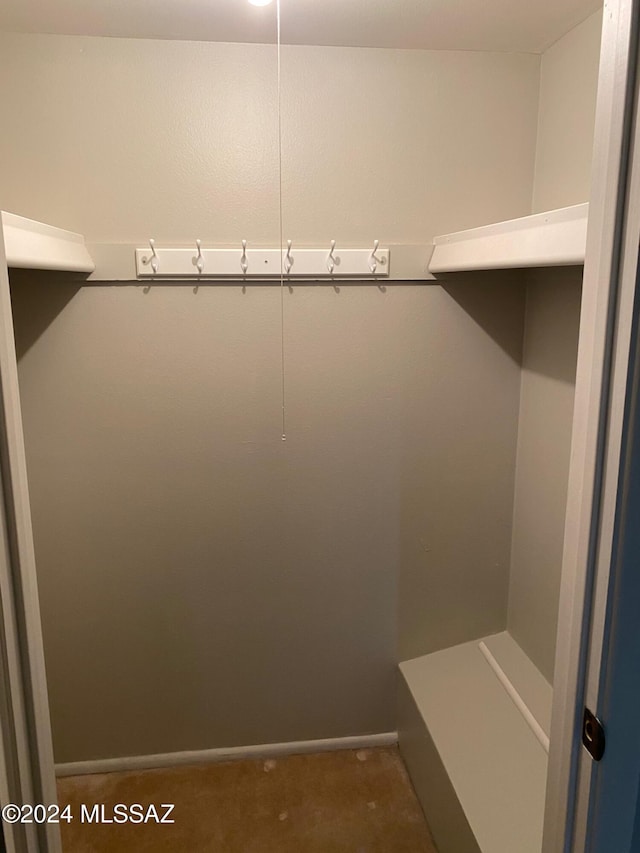 view of walk in closet