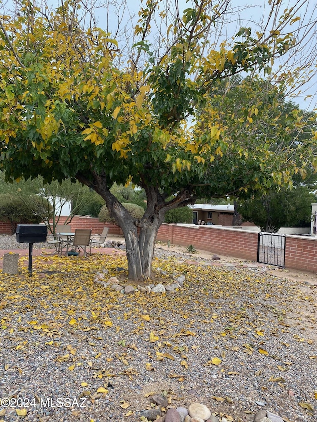 view of yard