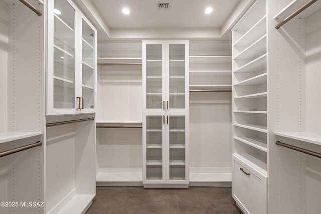 5200 N Camino Antonio, Tucson, AZ 85718 - spacious closet with visible vents