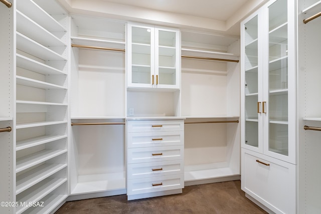 5200 N Camino Antonio, Tucson, AZ 85718 - view of walk in closet