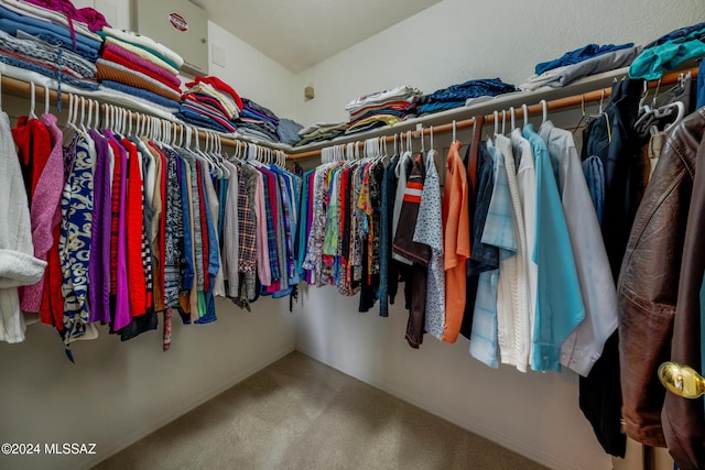 walk in closet featuring carpet floors