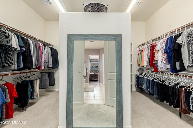 spacious closet featuring light colored carpet