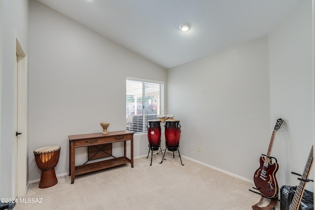 miscellaneous room featuring light carpet and lofted ceiling