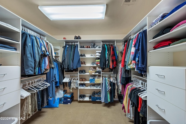 spacious closet with light carpet