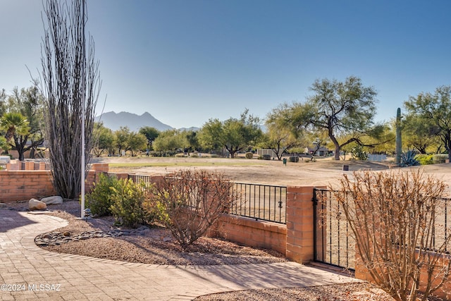 view of yard with a mountain view