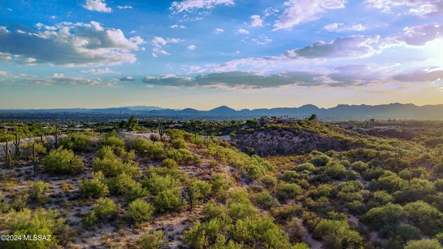 5120 N Camino Antonio Unit 1, Tucson, AZ 85718