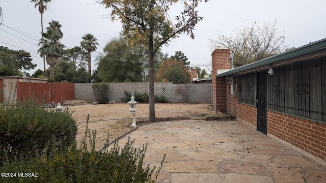 view of yard featuring a patio area