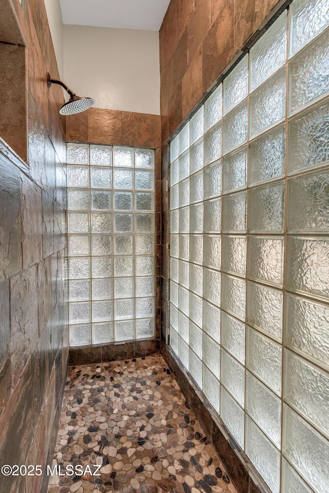 bathroom with walk in shower