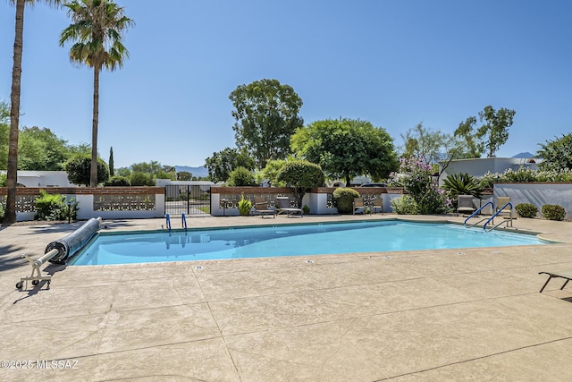 view of pool with a patio area