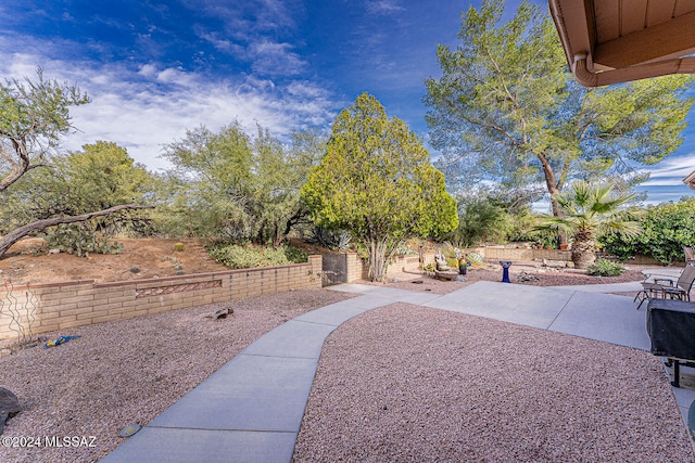 view of yard with a patio area