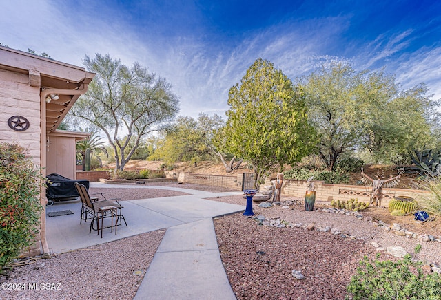 view of yard with a patio area