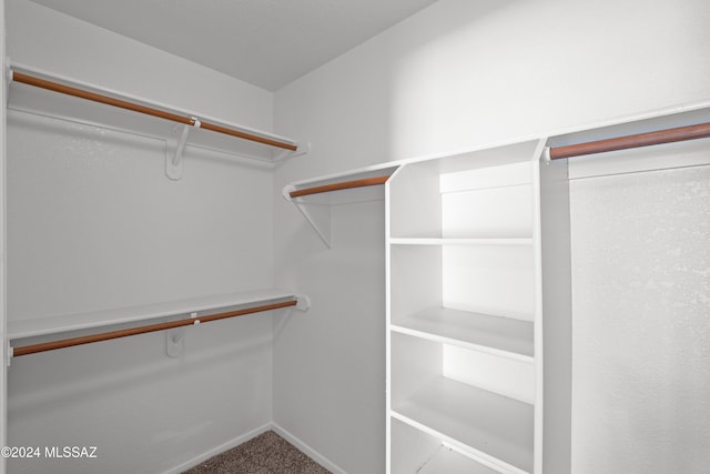 spacious closet with carpet