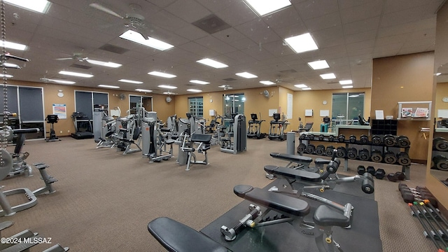 exercise room featuring carpet flooring and a paneled ceiling