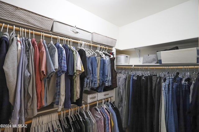 view of walk in closet