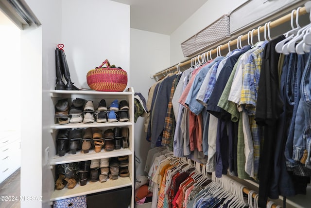 view of spacious closet