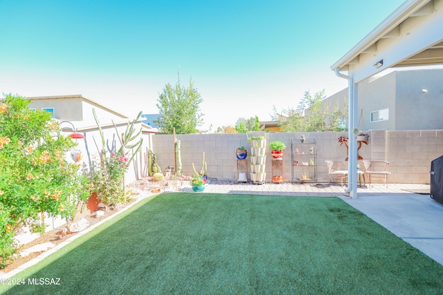 view of yard featuring a patio area