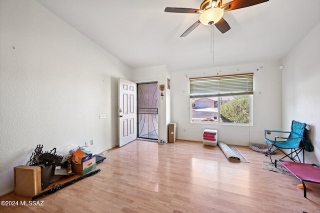 exercise area featuring ceiling fan and light hardwood / wood-style floors