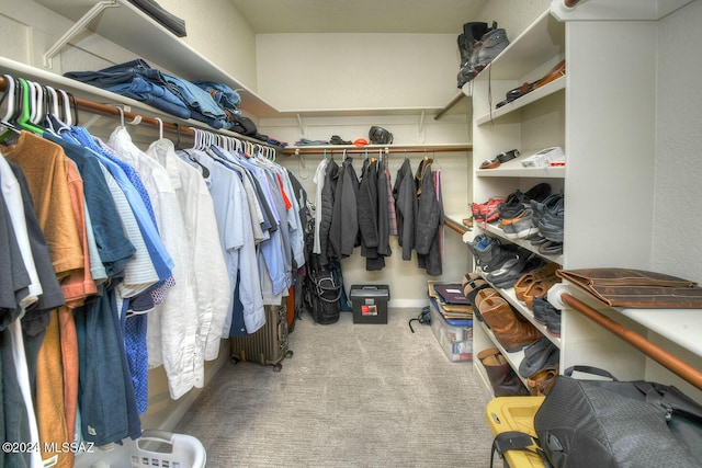 walk in closet with light colored carpet