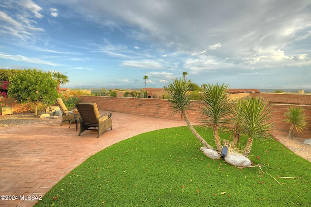 view of yard featuring a patio and a fenced backyard