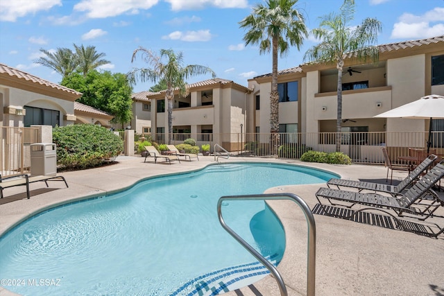 view of swimming pool with a patio