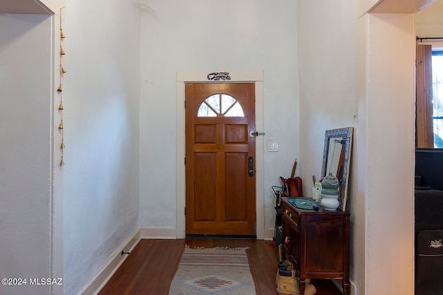 entryway featuring dark wood-type flooring and a healthy amount of sunlight