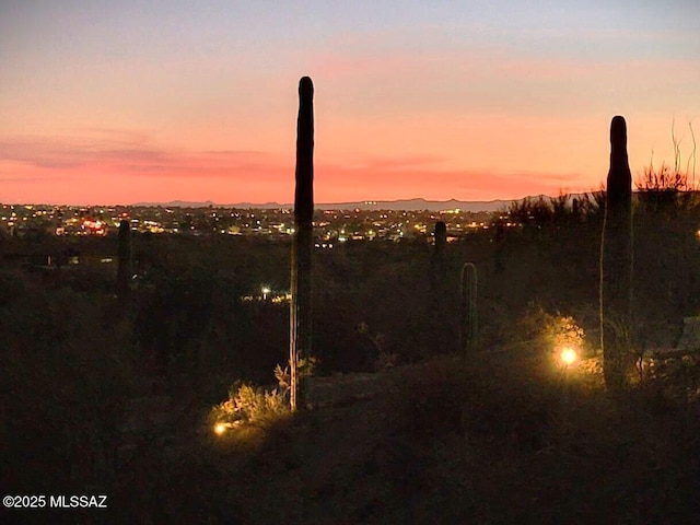 view of nature at dusk