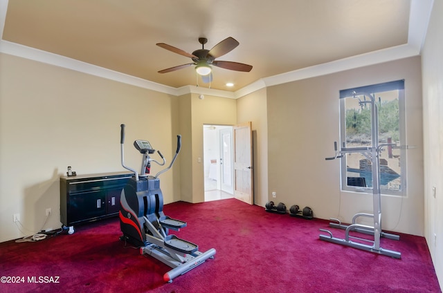 exercise area featuring crown molding, ceiling fan, and carpet