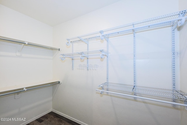 spacious closet featuring dark wood-type flooring