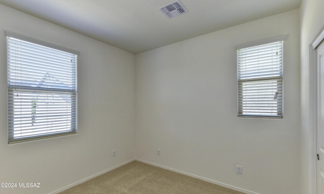 carpeted spare room with a wealth of natural light