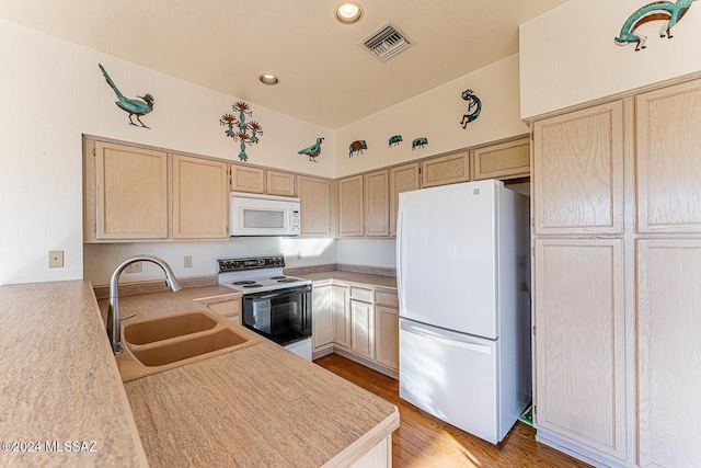 kitchen featuring sink, light hardwood / wood-style floors, dishwasher, and ceiling fan