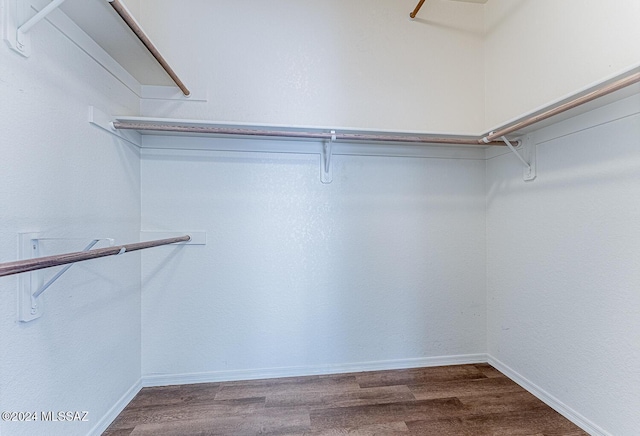 spacious closet featuring wood-type flooring